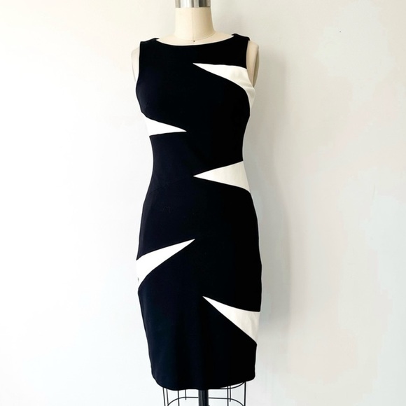 Cache Dresses & Skirts - Cache Contour Collection Black White Sleeveless Bodycon sheath Dress Size 2